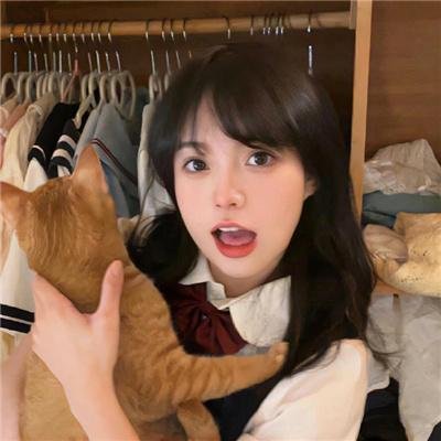 探险手札之未知领域