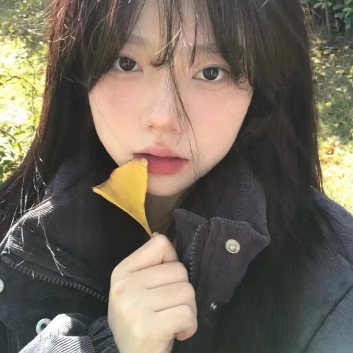 为父进行式